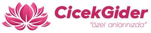 Çiçek Gider logo