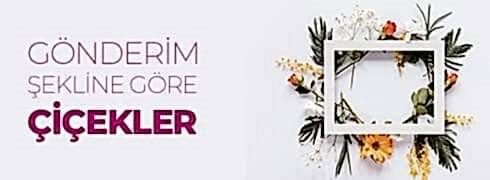 GÖNDERİME GÖRE